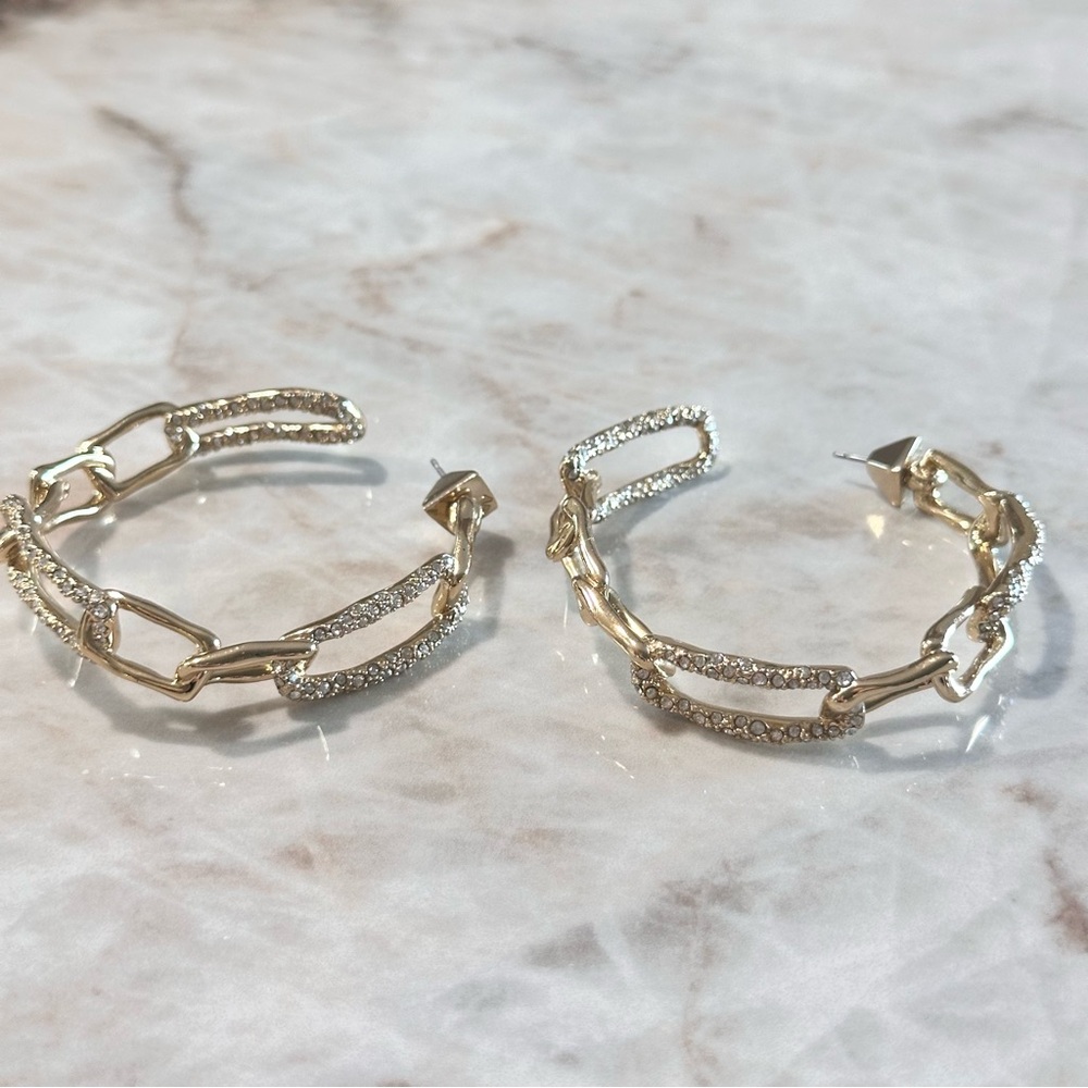 Alexis Bittar Gold and Silver Link Earrings
